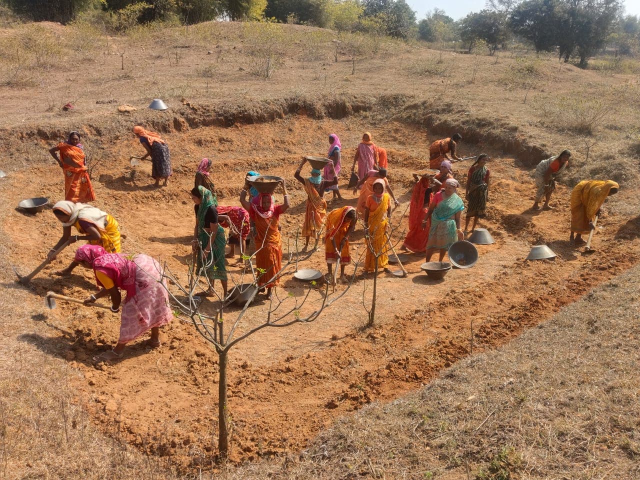 Community members participating in an environmental conservation activity
